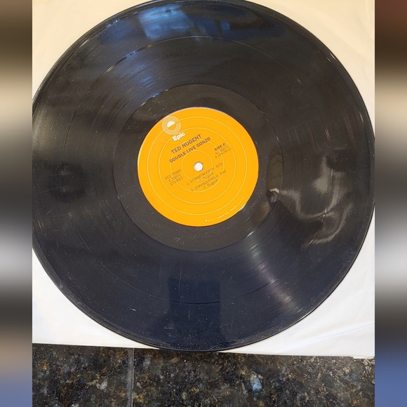 Collection of Original Ted Nugents Records - Picture 8 of 12